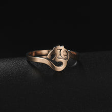 Load image into Gallery viewer, The OM Ring (D1)
